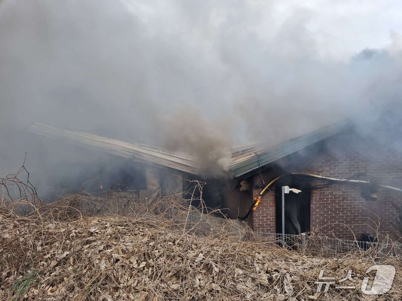무안 축사서 화재.(전남소방본부 제공. 재판매 및 DB금지) 2026.3.1/뉴스1