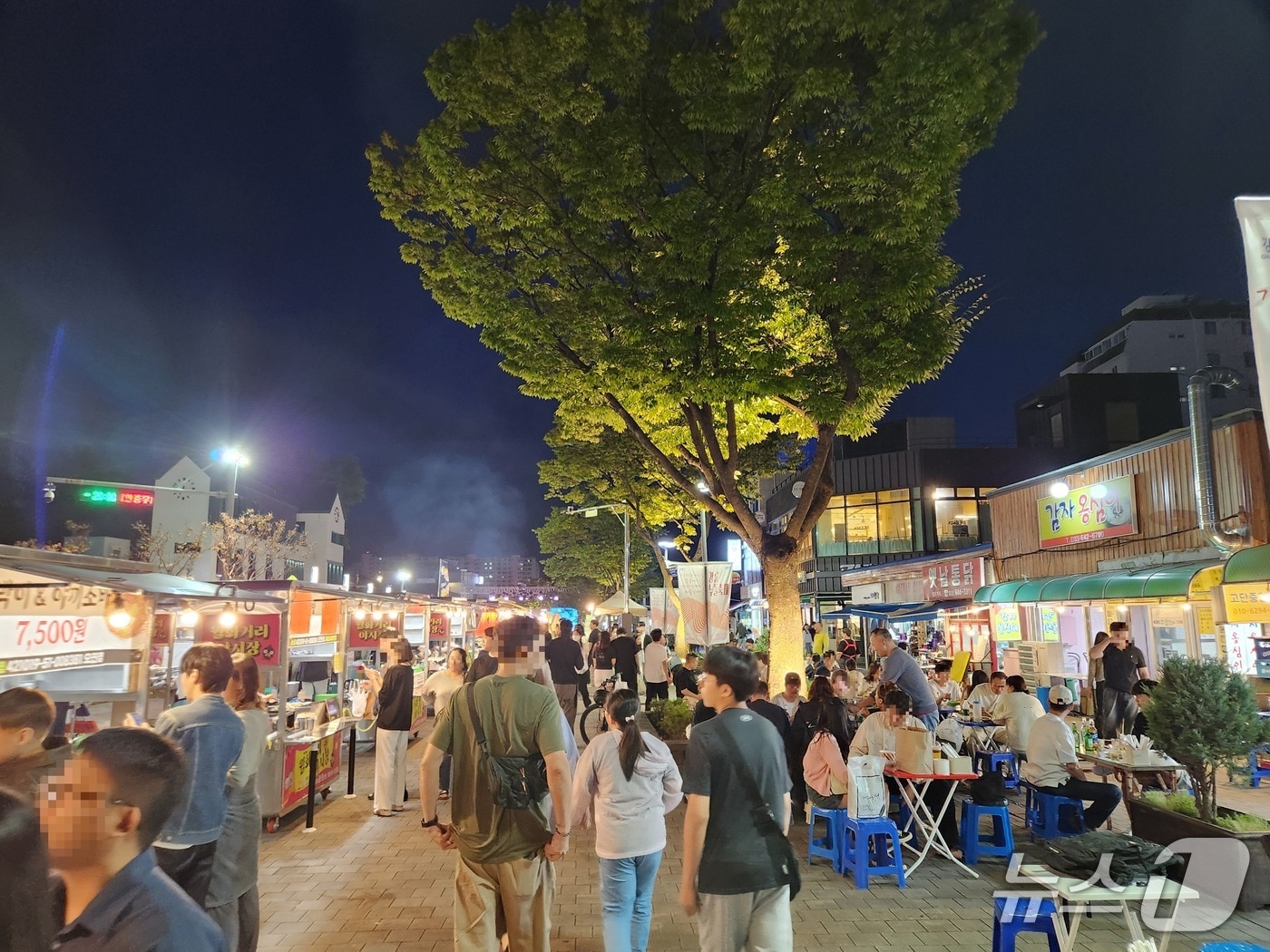 강릉월화거리야시장 전경.(강릉시 제공, 재판매 및 DB 금지)