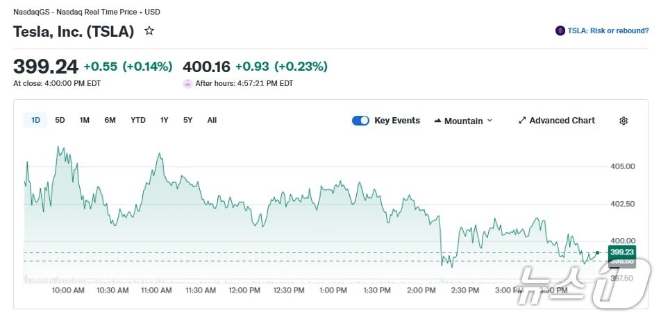 테슬라 일일 주가 추이 - 야후 파이낸스 갈무리