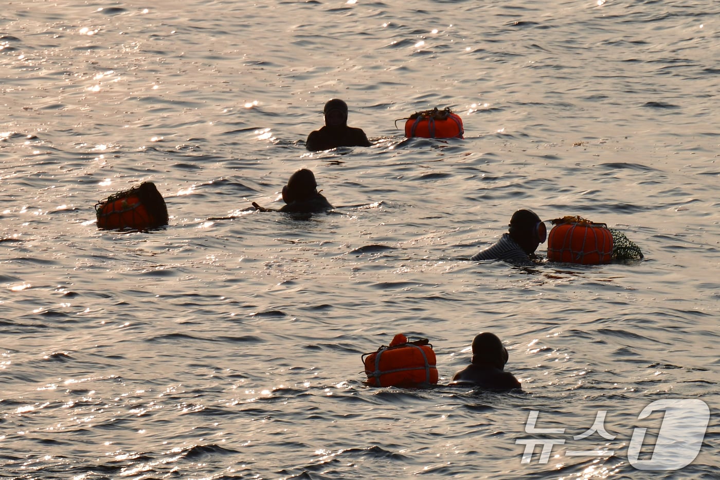 11일 오전 경북 포항시 북구 환여동 해안에서 해녀들이 아침 조업을 하고 있다. 2026.3.11 ⓒ 뉴스1 최창호 기자