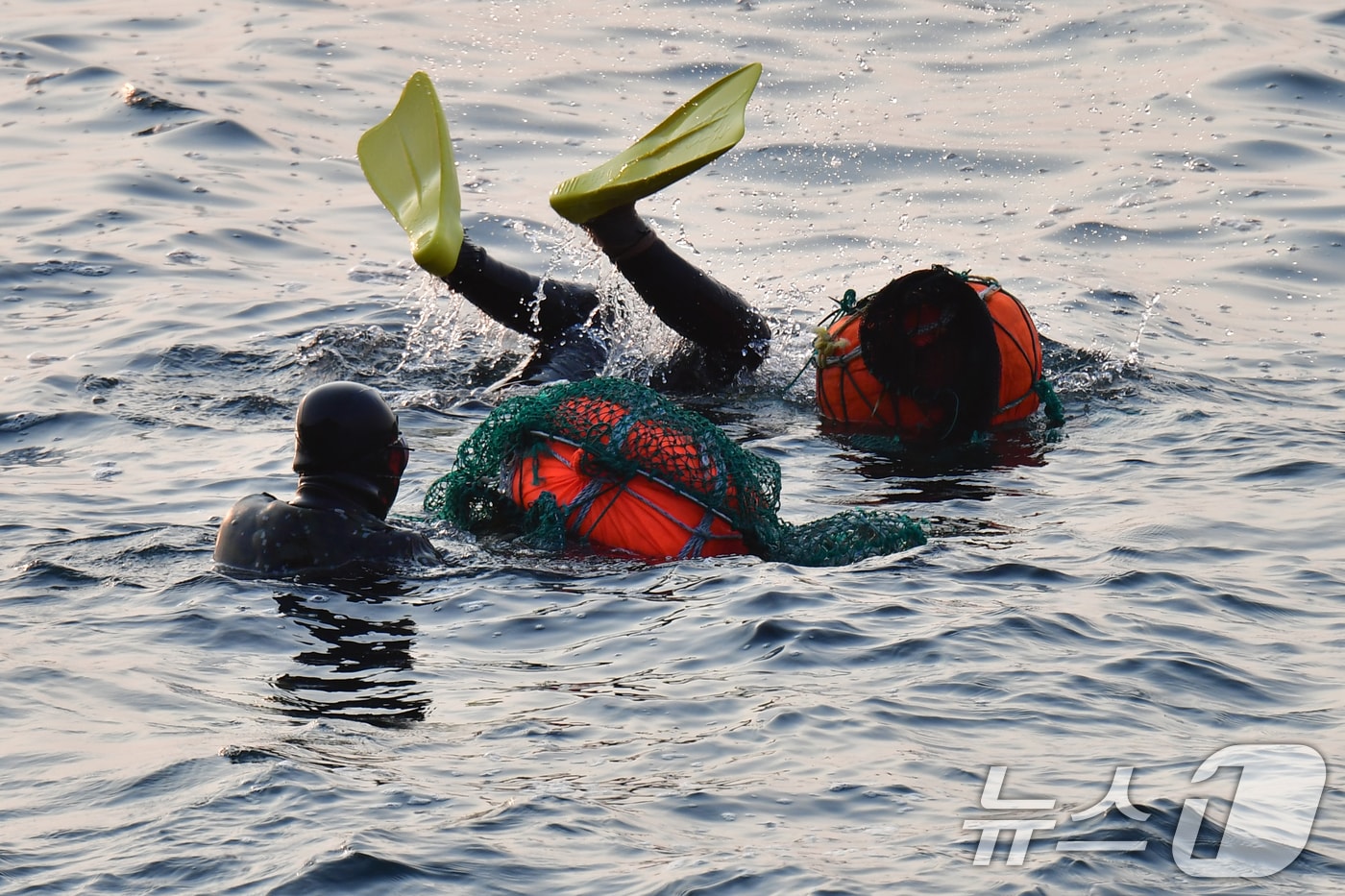 11일 오전 경북 포항시 북구 환여동 해안에서 해녀들이 해산물을 채취하고 있다. 2026.3.11 ⓒ 뉴스1 최창호 기자