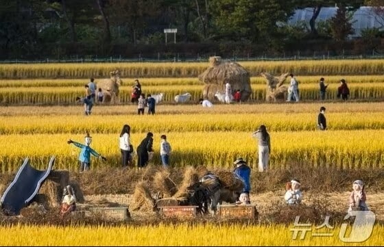  지난해 제천 의림지 농경문화예술제.(자료사진)/뉴스1