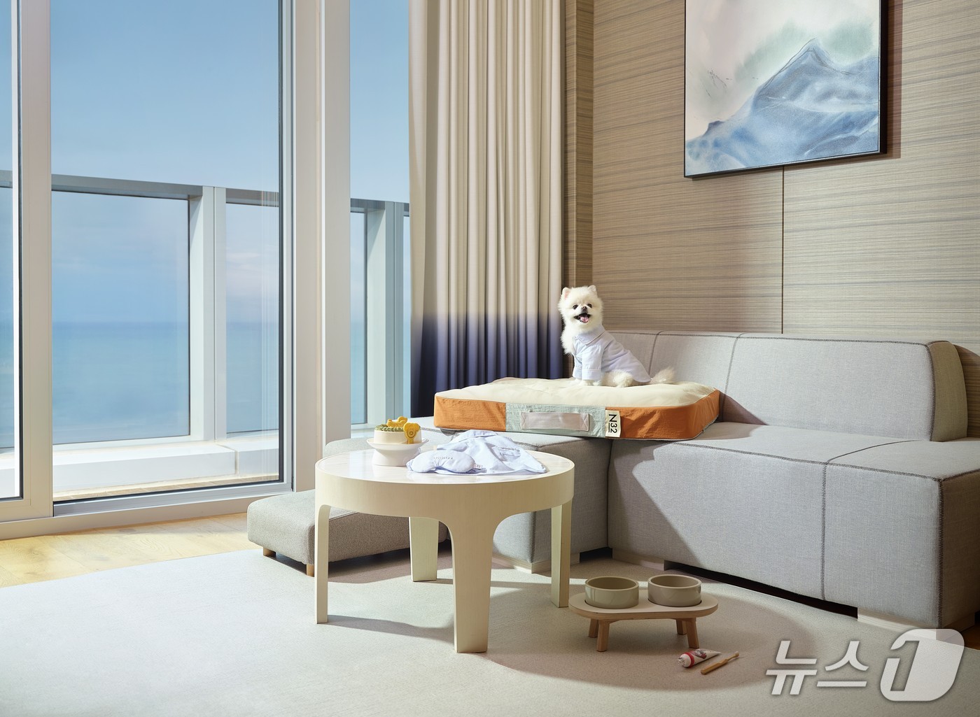 호텔 시그니엘 부산 펫 프렌들리 객실에서 강아지가 N32 펫 매트리스에 올라가 있다.(시그니엘 부산 제공. 재판매 및 DB 금지)