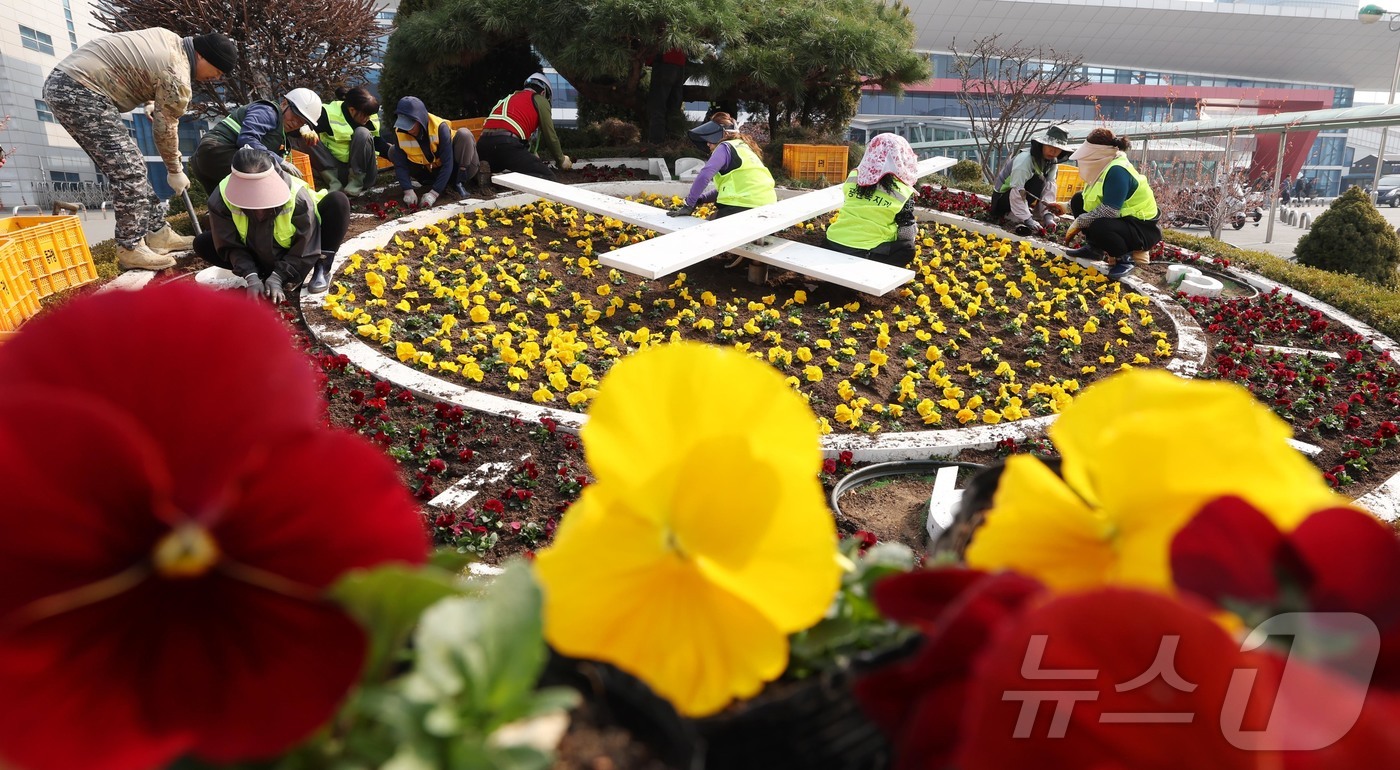 13일 대전·충남은 대부분의 지역에 아침 기온이 영하권을 보일 것으로 예보됐다. 대전역 서광장에서 동구청 관계자들이 새봄을 맞아 봄꽃을 식재하고 있다. ⓒ 뉴스1 김기태 기자