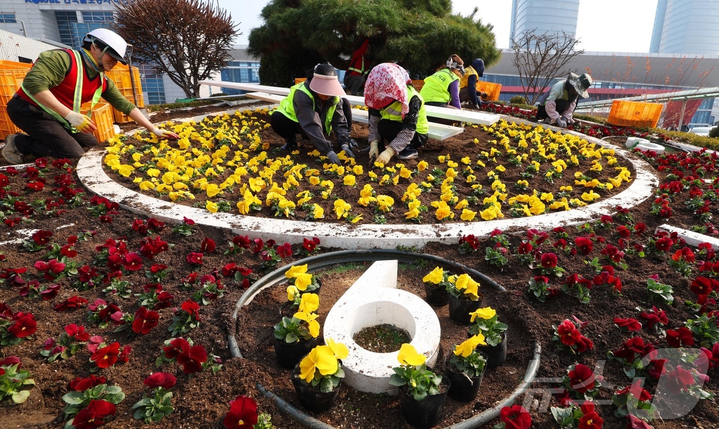 15일 대전·충남은 대기가 건조한 가운데 낮과 밤의 일교차가 10~15도 이상으로 클 것으로 예보됐다. 대전역 서광장에서 동구청 관계자들이 봄꽃을 식재하고 있다. ⓒ 뉴스1 김기태 기자