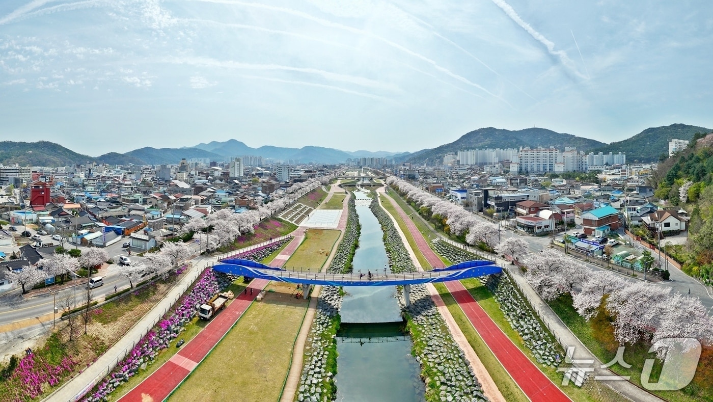 제35회 정읍 벚꽃축제가 4월 3일부터 5일까지 정읍천 어린이축구장 일원에서 열린다.(정읍시 제공. 재판매 및 DB금지)/뉴스1 