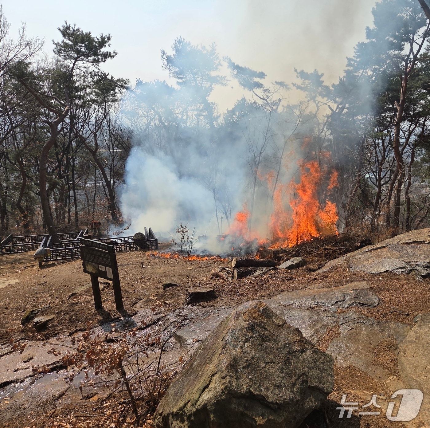 화재 현장. (경기도소방재난본부 제공. 재판매 및 DB금지) 2026.3.12/뉴스1