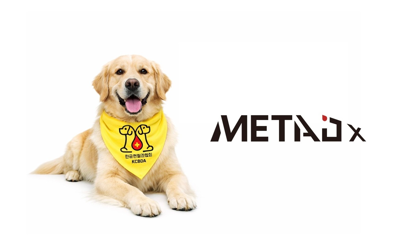 생명 살리는 헌혈견, 건강도 지킨다...AI 종양 검사 적용 - 뉴스 썸네일 이미지