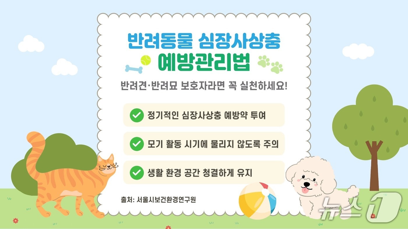 반려동물 심장사상충 예방관리법_도심너구리 심장사상충.(서울시 제공)