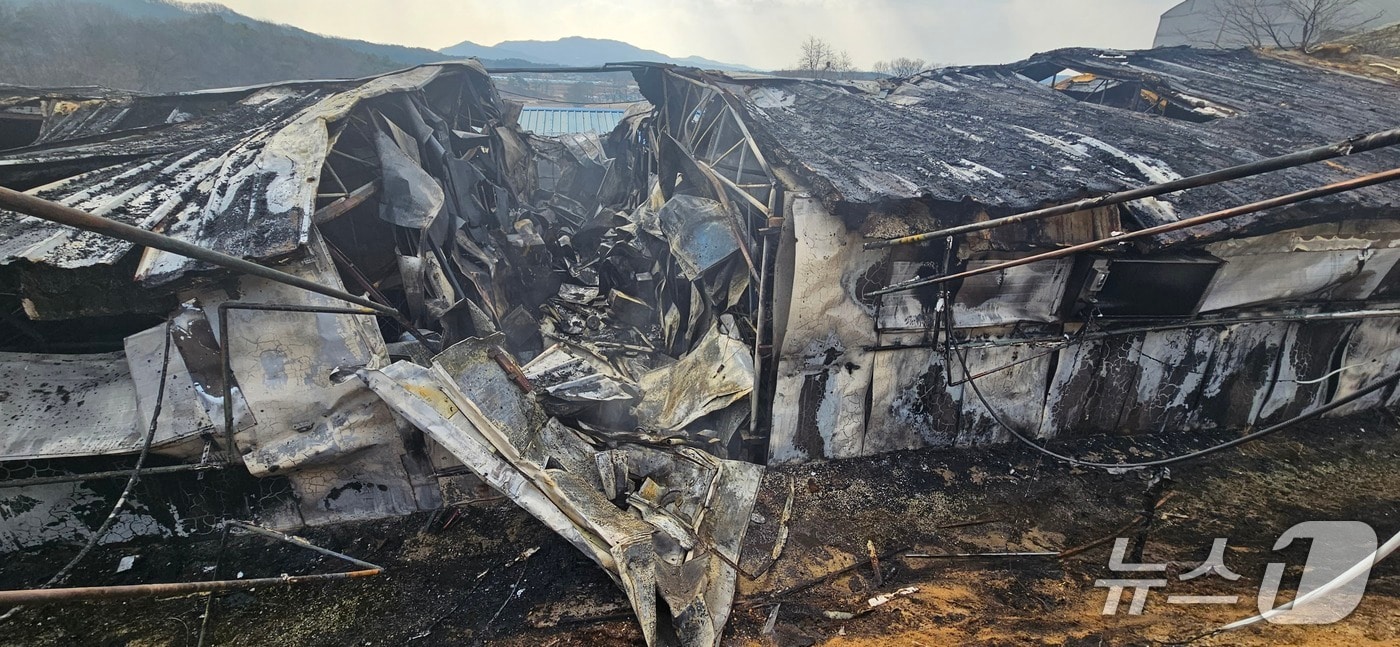 화재 현장. (경기도소방재난본부 제공. 재판매 및 DB 금지) 2026.3.13/뉴스1