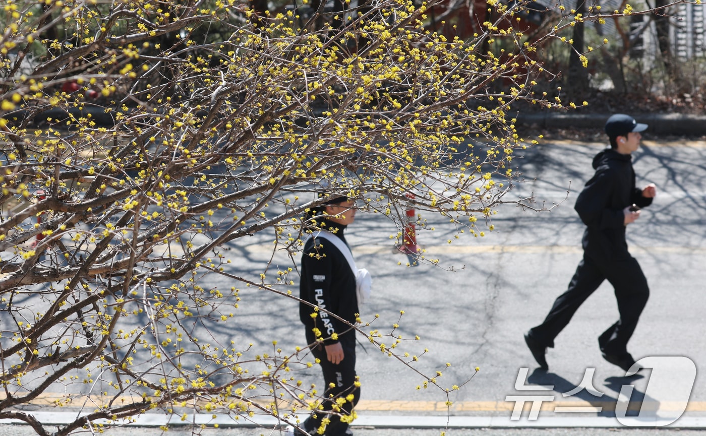 산책하는 시민들.(뉴스1 DB)