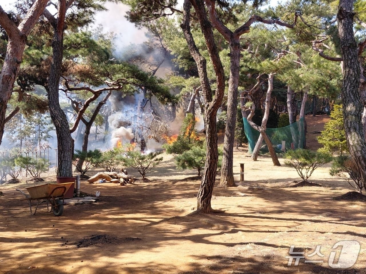 화재 현장. (경기도소방재난본부 제공. 재판매 및 D 금지) 2026.3.13/뉴스1 