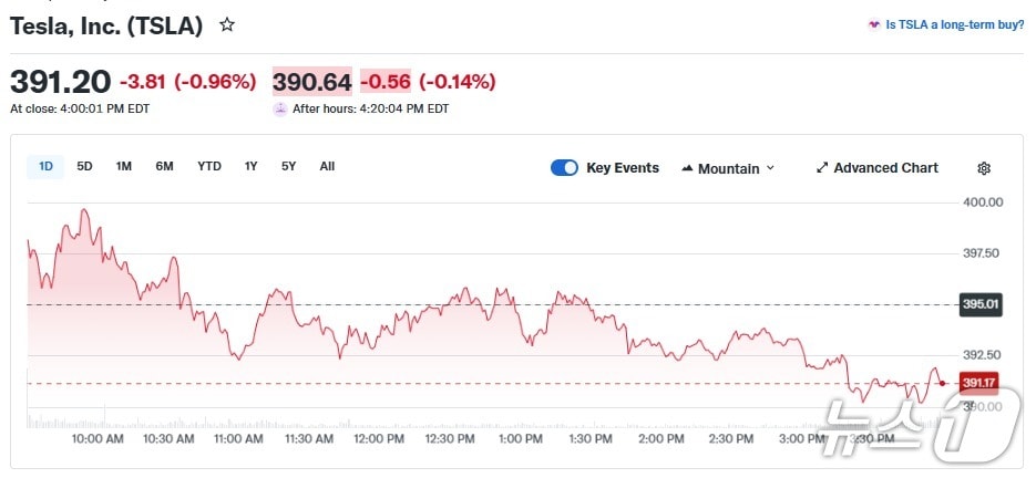테슬라 일일 주가 추이 - 야후 파이낸스 갈무리