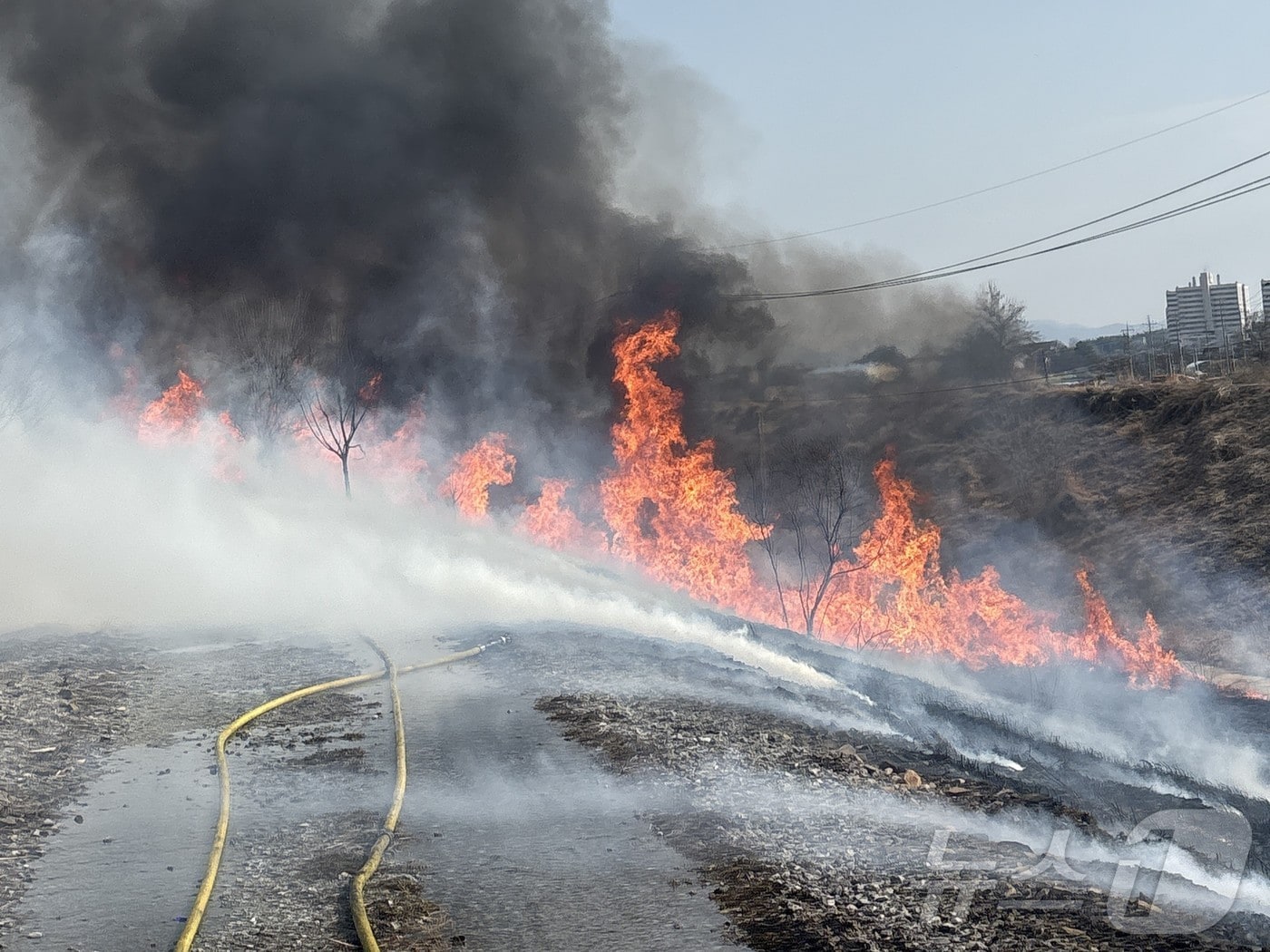14일 나주 영산동 뚝방서 난 화재.(전남소방 제공. 재배포 및 DB 금지)