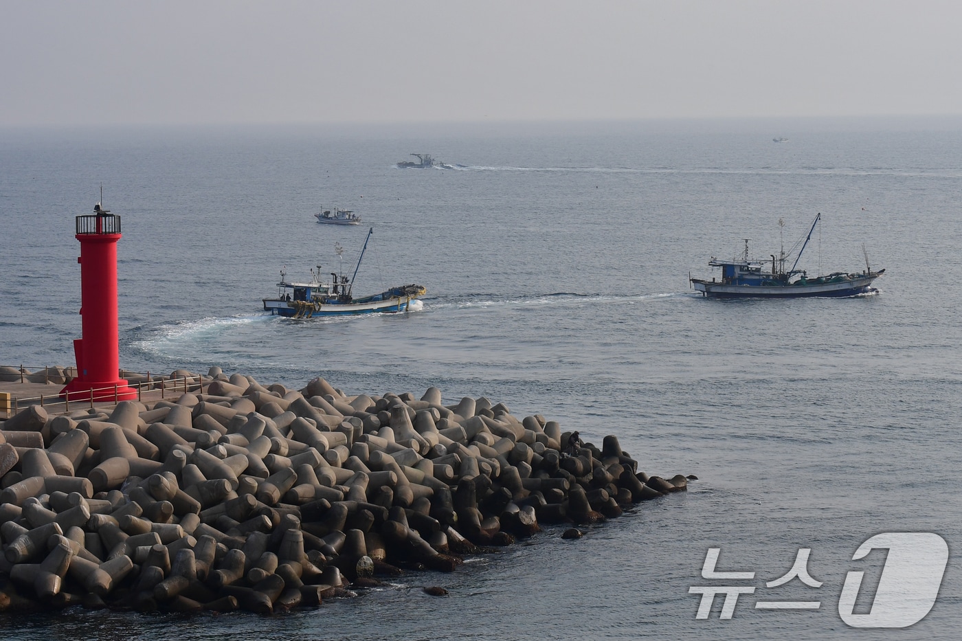 영덕 앞바다 자료사진/ ⓒ 뉴스1 