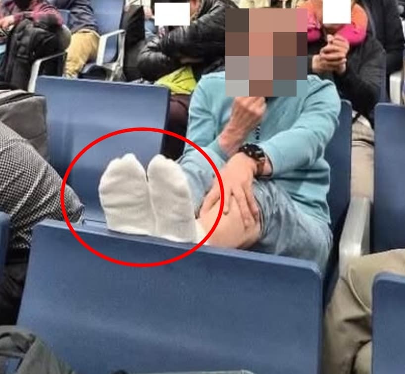 보배드림 인스타그램