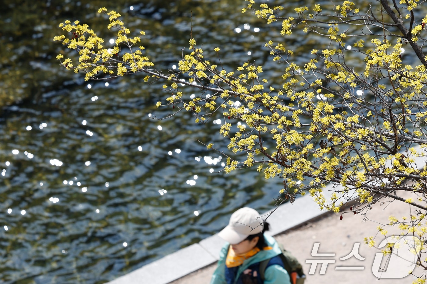 자료사진./뉴스1