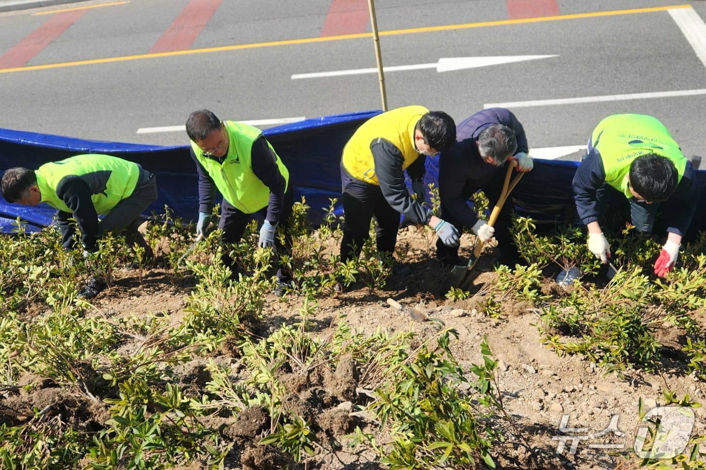 지난 13일 부산 사하구 감천문화마을 인근 야산에서 진행된 식목행사 모습 (남부발전 제공. 재판매 및 DB금지)