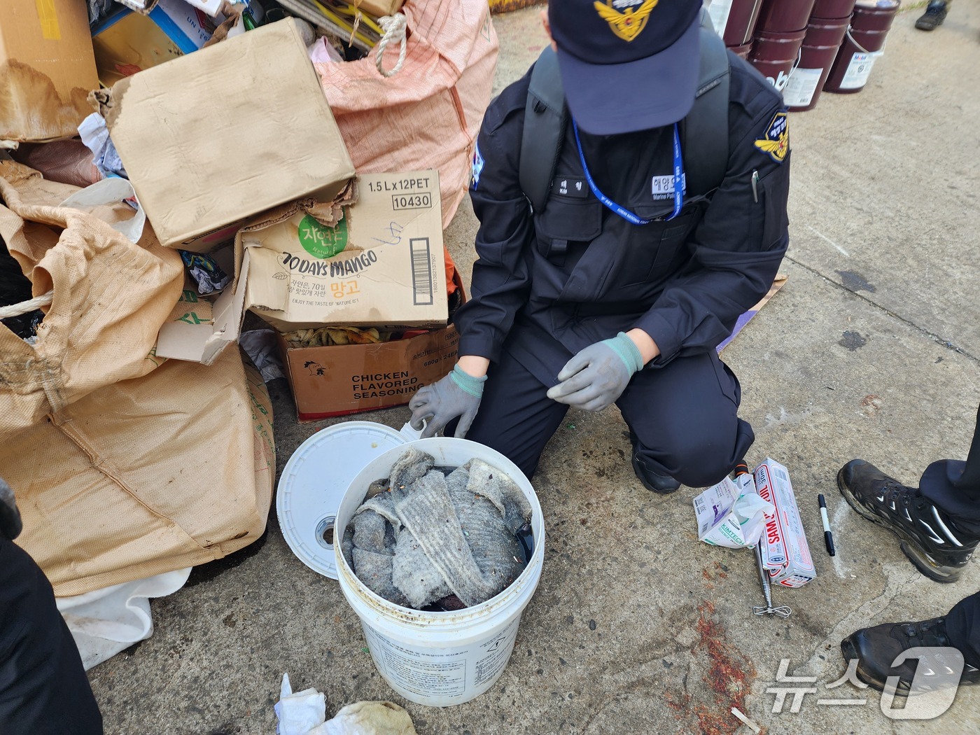 해경이 조사를 위해 시료를 채취하고 있는 모습 (해경 제공. 재판매 및 DB금지)