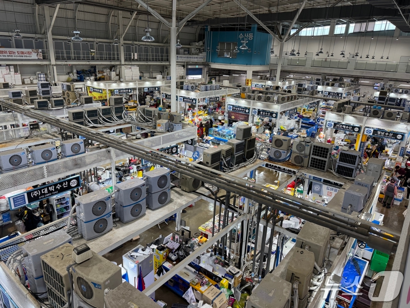 경기 수원시 농수산물도매시장 수산동 전경. (수원시 제공. 재판매 및 DB 금지) 2026.3.16/뉴스1