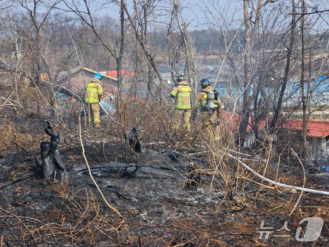 강원 원주 부론면 흥호리 산불 현장.(강원도소방본부 제공, 재판매 및 DB금지)