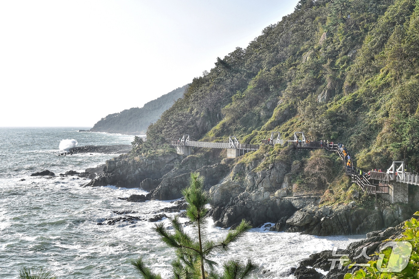 부산 남구 이기대 해안산책로 일원.(부산시 제공. 재판매 및 DB금지)