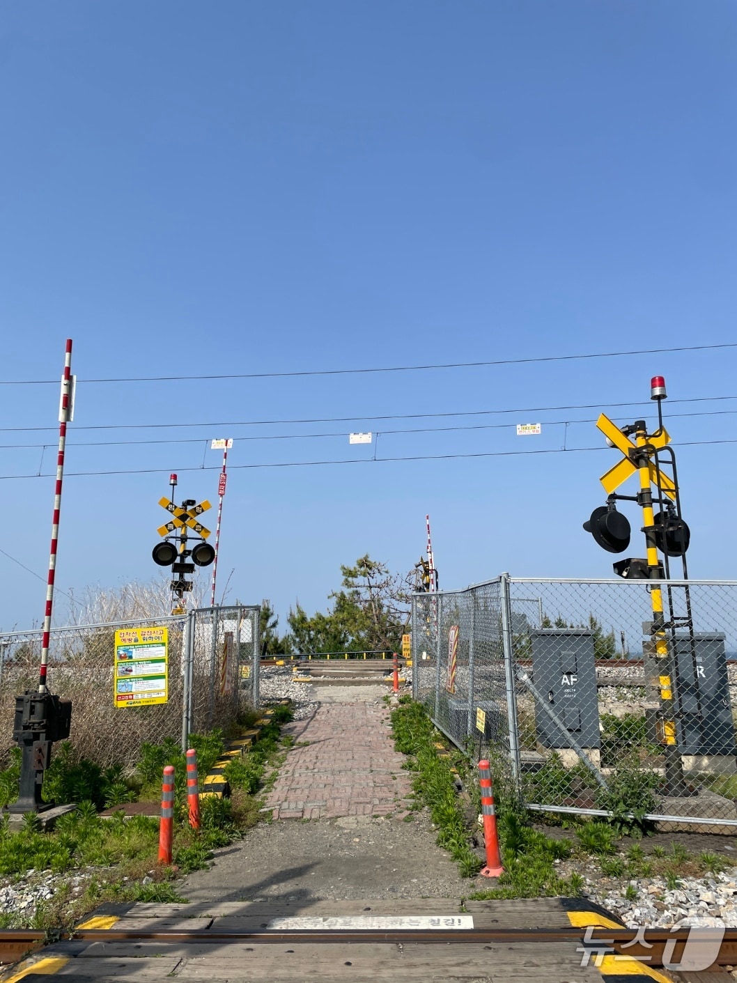 강원 동해시 하평해변 철도건널목.(뉴스1 DB)