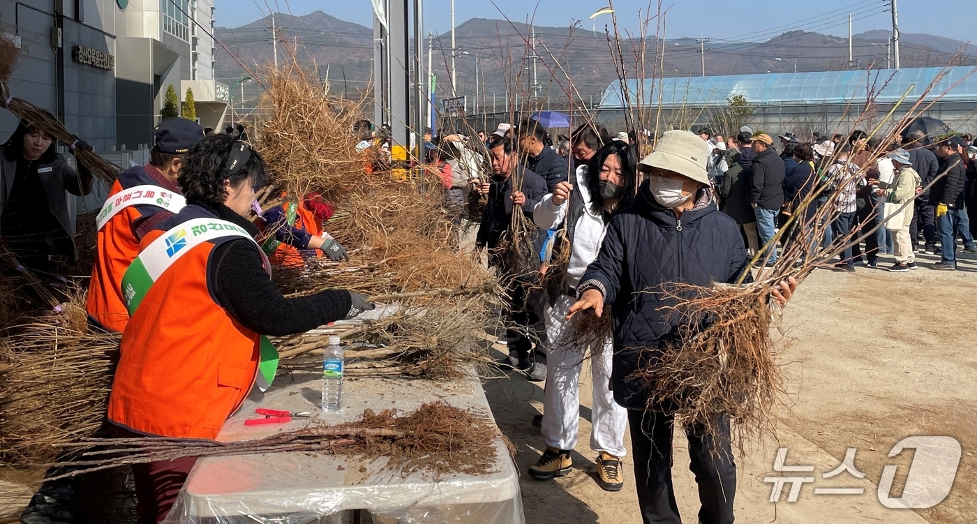 경산묘목영농조합법인이 오는 28일 오전 10시 경산 종묘유통센터에서 '묘목 나눔행사'를 개최한다.(경산시 제공. 재판매 및 DB금지)/뉴스1