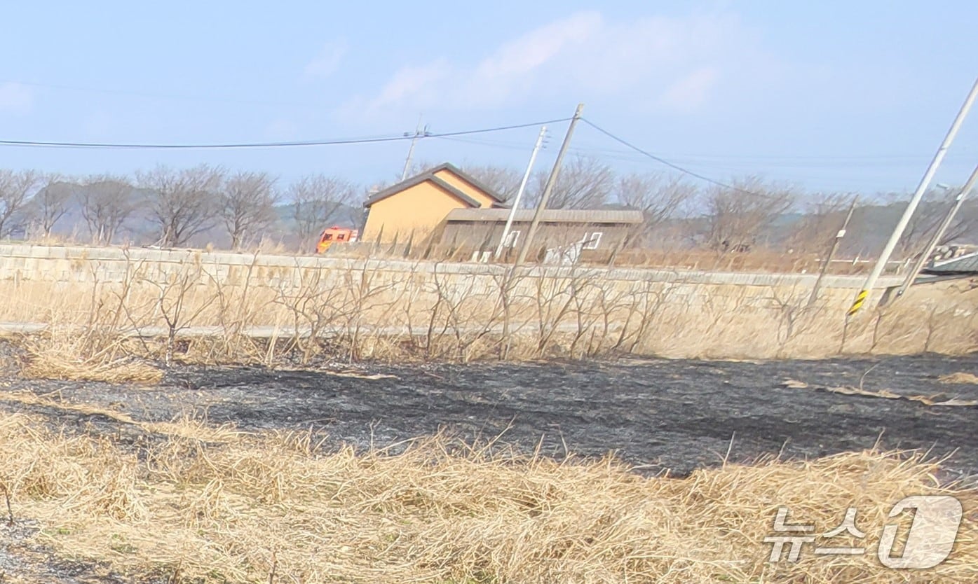 17일 오후 3시 21분쯤 경북 영천시 임고면 양항리 한 주택 인근 들에서 불이 나 약 30분만에 꺼졌다. (경북소방본부 제공. 재판매 및 DB 금지)2026.3.18/뉴스1