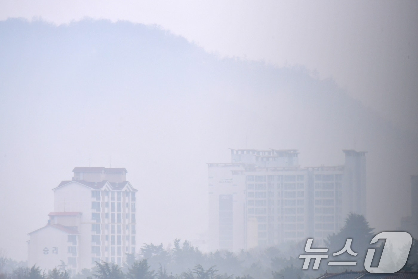 18일 오전 경북 포항시 전역에 봄비가 내리는 가운데 남구 연일읍에 있는 고층 아파트 주변이 안개에 덮여있다. 2026.3.18 ⓒ 뉴스1 최창호 기자