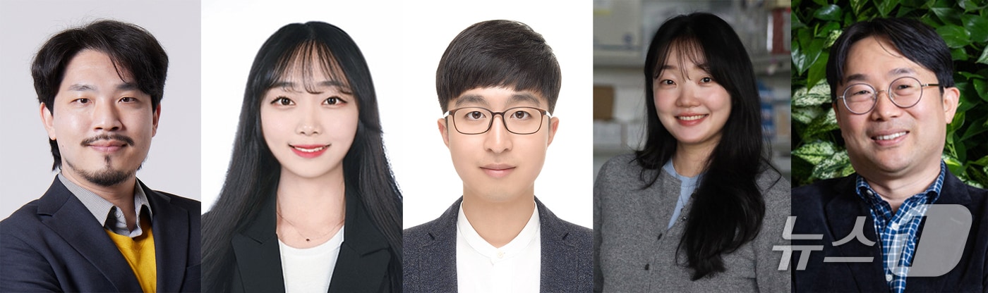 18일 포스텍 물리학과 시스템생명공학부 손민주, 환경공학부 시스템공학부 융합대학원 황동수 교수와 현 막스플랑크 연구소 홍유리 박사(포스텍 시스템생명공학부)가 알츠하이머병을 일으키는 단백질로 알려진 타우(Tau)의 새로운 기능을 규명했다고 밝혔다. 왼쪽부터 손민준  교수, 박세린 통합과정, 통합과정 정재훈, 막스플랑크 연구소 홍유리 박사, 황동수 교수. (포스텍 제공, 재판매 및 DB금지) 2026.3.18/뉴스1