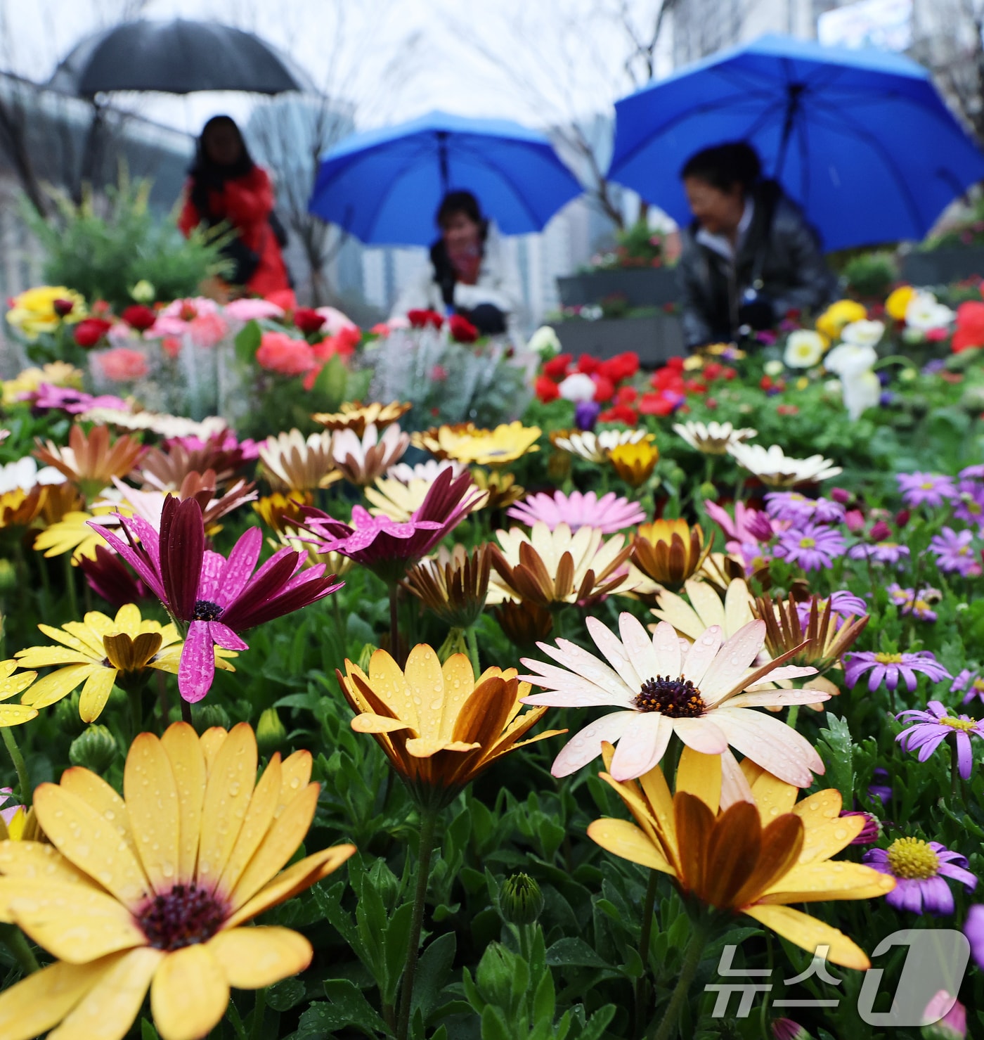 날씨 자료 사진. 2026.3.18 ⓒ 뉴스1 오대일 기자