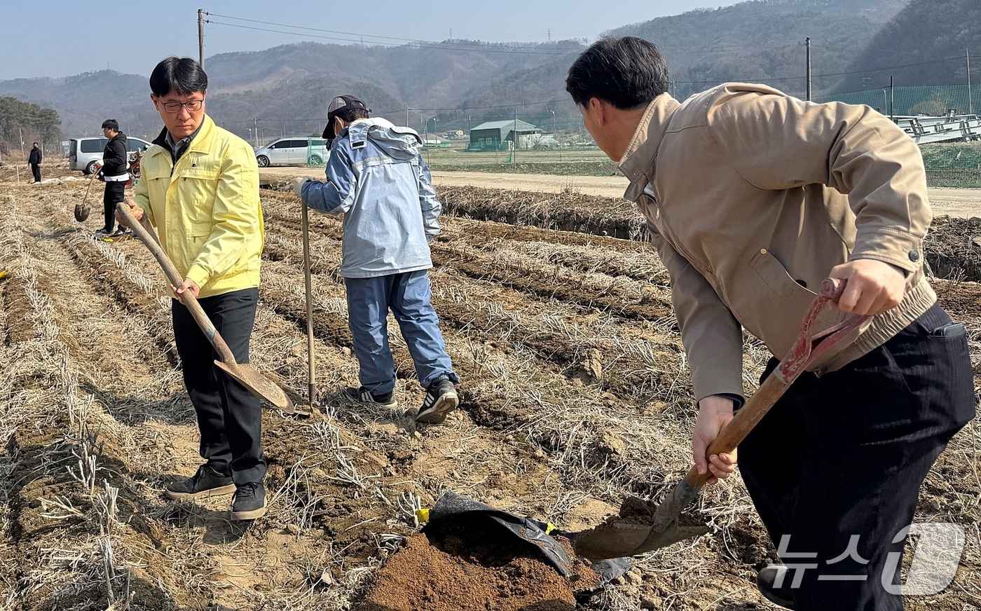 농협괴산군지부 농촌일손돕기.(농협괴산군지부 제공. 재판매 및 DB금지)