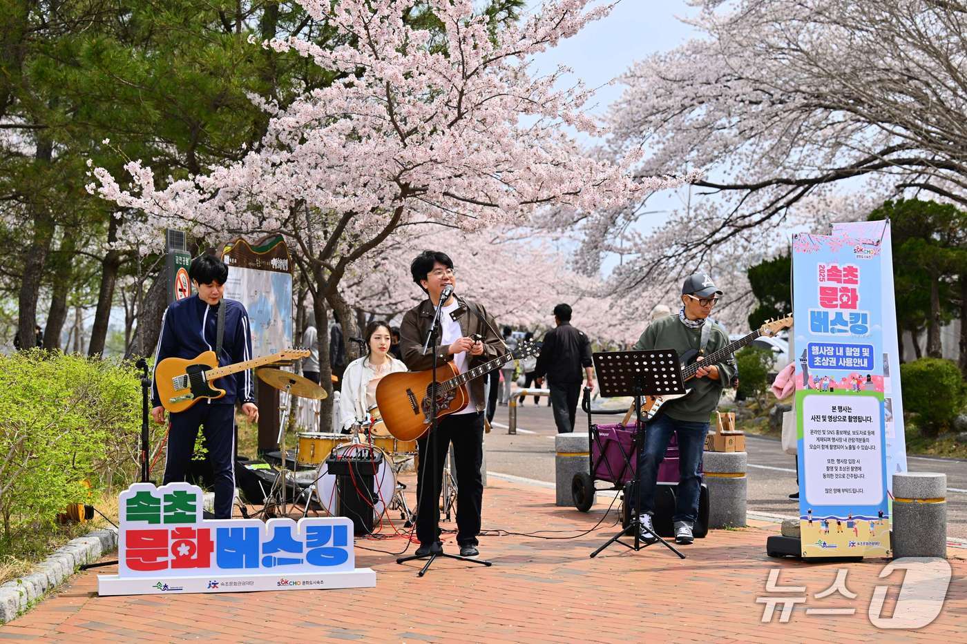 지난해 영랑호 벚꽃축제 속초문화버스킹 당시.(속초시 제공, 재판매 및 DB 금지) 2026.3.18/뉴스1
