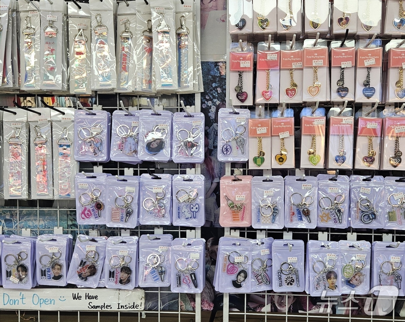 지식재산처는 방탄소년단 컴백 라이브 공연을 앞두고 K-팝 아이돌 상표를 무단 도용한 불법 굿즈 판매를 집중 단속했다.(지식재산처 제공.재판매 및 DB금지)/뉴스1 