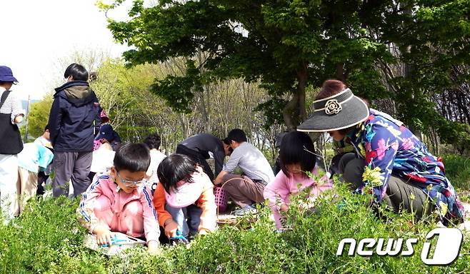 생태학습을 하고 있는 전북 임실 지사초등학교(지사초 제공)/뉴스1DB