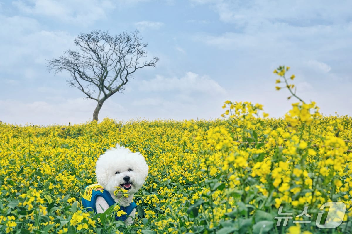 자료사진.(제주신화월드 제공. 재판매 및 DB 금지)