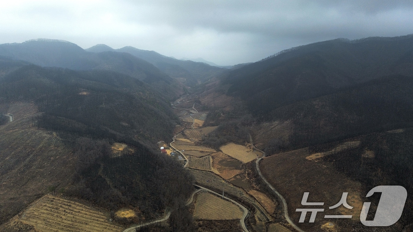 산불 피해 지역.(사진은 기사 내용과 무관함) / 뉴스1 ⓒ News1