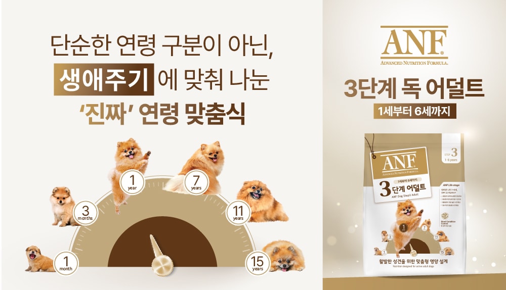 "1살·7살·11살 다르게 먹는다"...우리와, 강아지 연령별 사료 공개 - 뉴스 썸네일 이미지