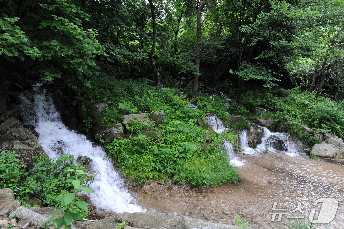 화천 광덕계곡.(화천군 제공, 재판매 및 DB금지)