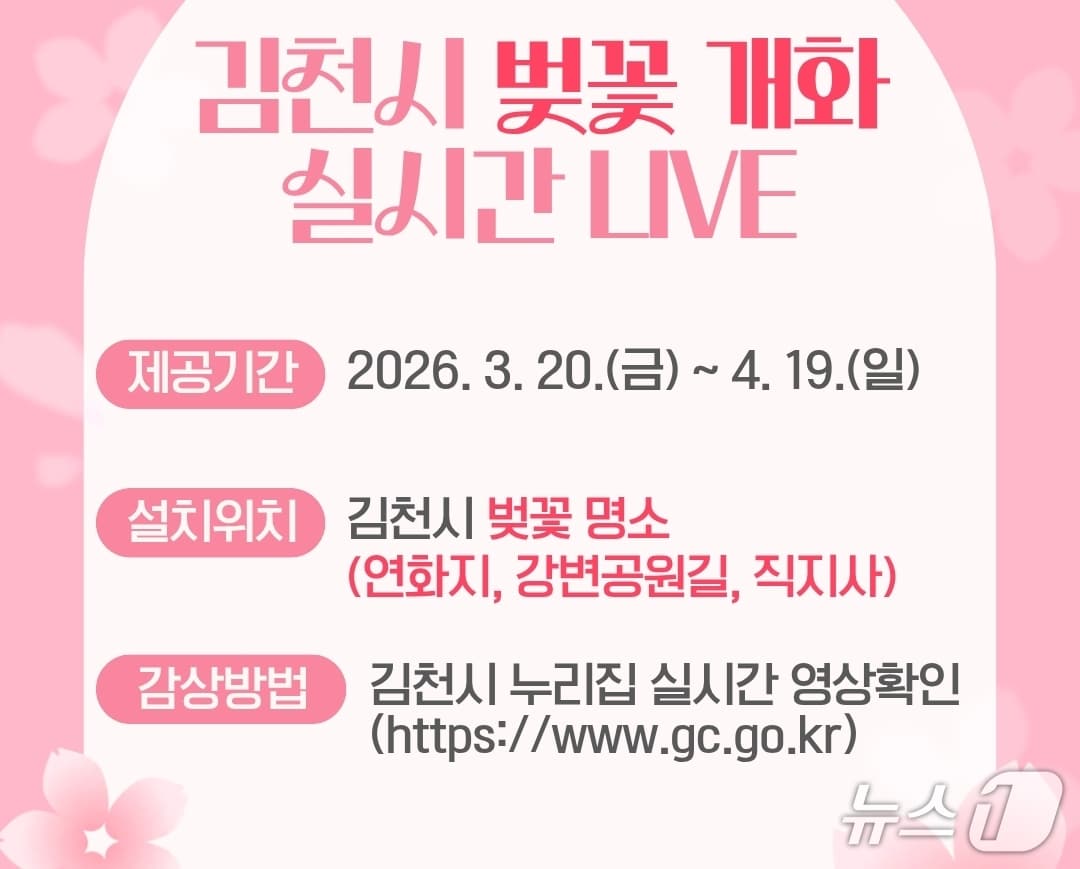 경북 김천시는 벚꽃 개화 시기를 오는 20일부터 4월 19일까지 실시간으로 벚꽃 개화 상황을 확인할 수 있는 '벚꽃 실시간 Live, 지금 바로 봄' 서비스를 김천시 대표 누리집을 통해 제공한다. (김천시 제공. 재판매 및 DB금지)/뉴스1