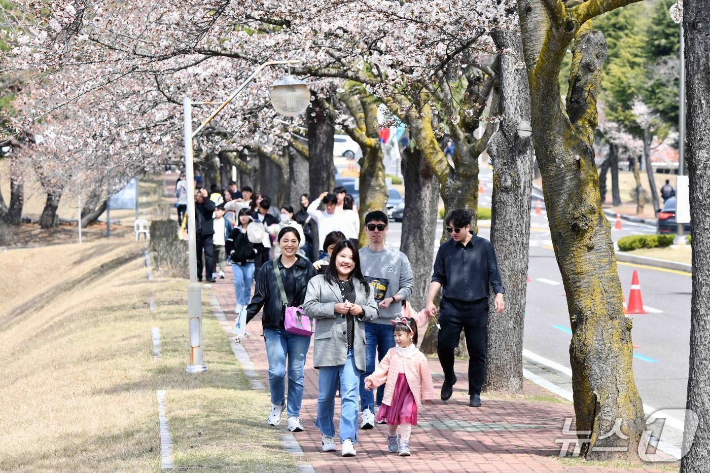 공군교육사령부의 부대 개방 행사(공군교육사 제공. 재판매 및 DB금지).