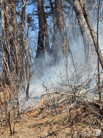 강원 태백 장죽동 산불 현장.(강원도 제공, 재판매 및 DB금지)