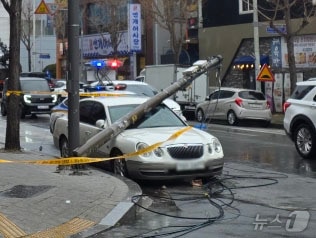 2일 오후 2시 15분쯤 광주 광산구 쌍암동 한 거리에서 건설 폐기물 수거차가 전선을 건드린 후 통신주가 차 위로 넘어진 모습. (독자제공. 재판매 및 DB 금지) 2026.3.2 