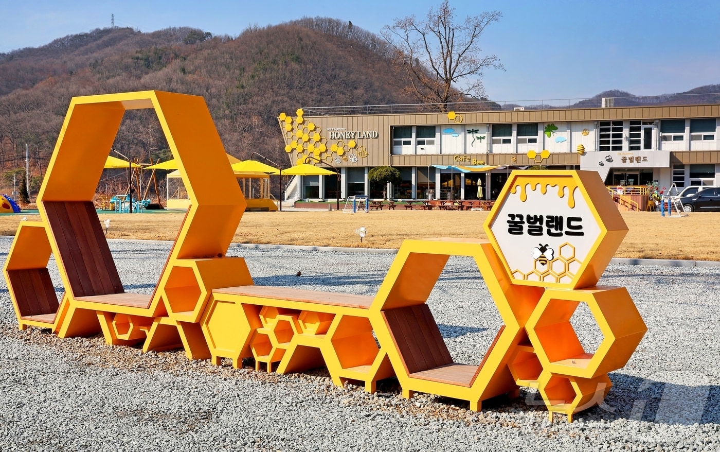 괴산 꿀벌랜드 ⓒ 뉴스1