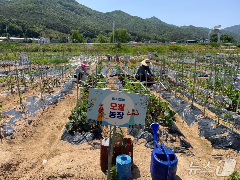 김해시가 오는 30일까지 '리틀 포레스트 팜 운영 지원사업' 참여자를 모집한다. 사진은 주말농장 모습.(김해시 제공. 재판매 및 DB금지)