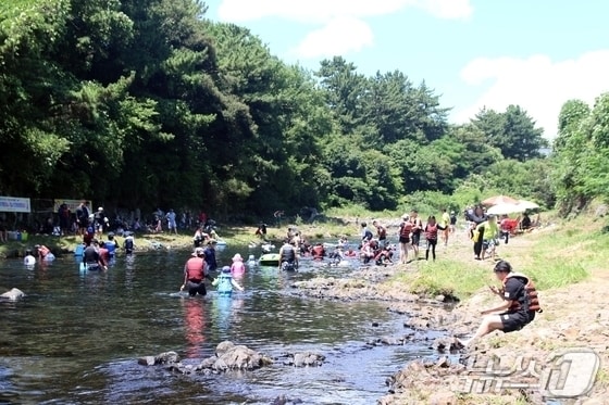  서귀포시 강정천./뉴스1