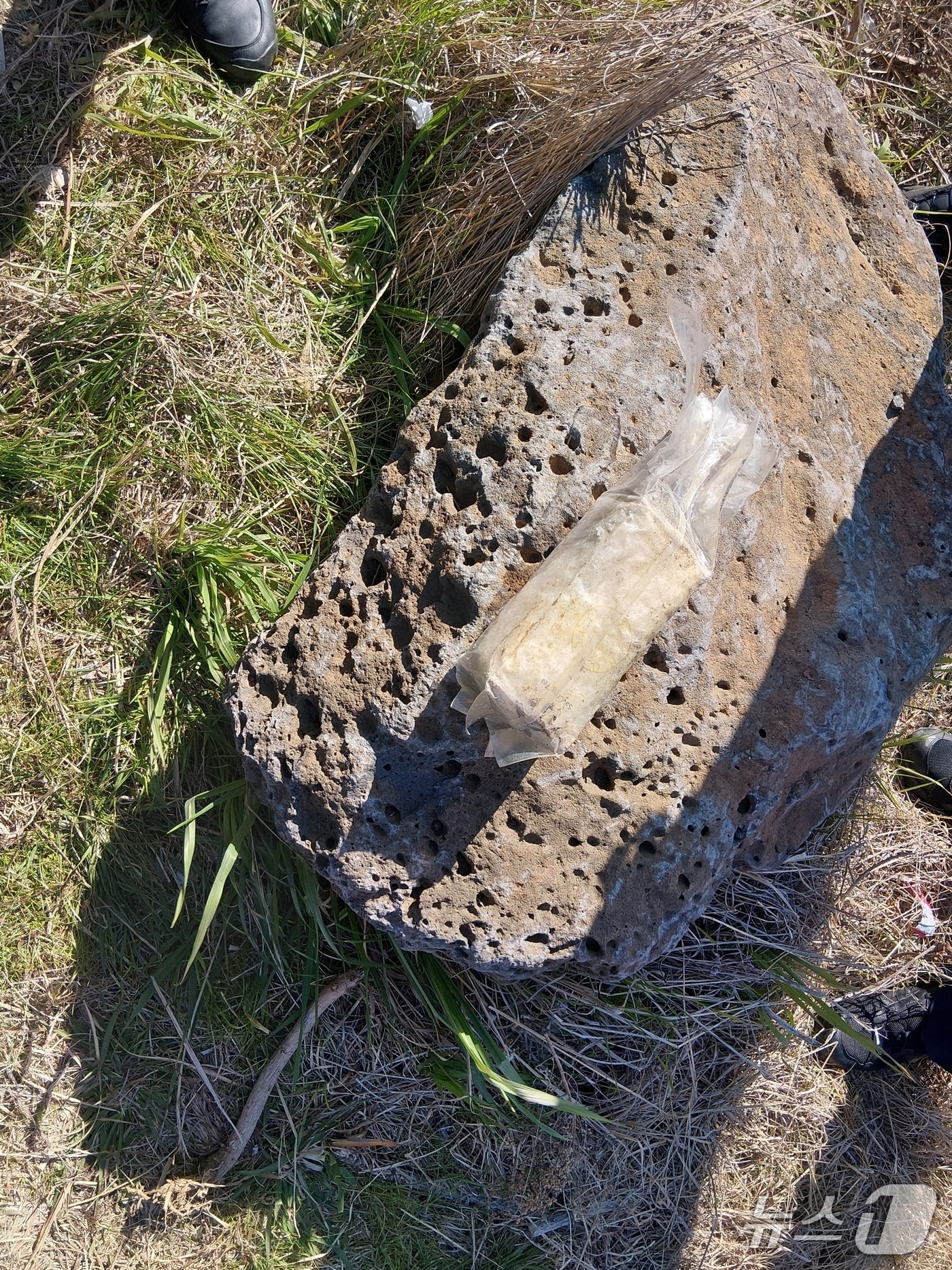 마약류가 든 차 봉지(서귀포해경 제공. 재판매 및 DB금지)/뉴스1