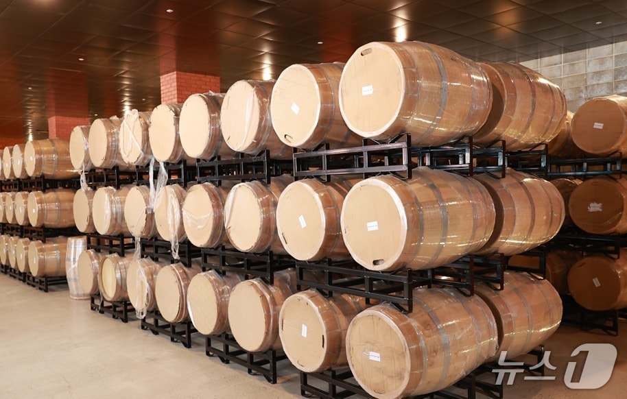 강원 영월군 예밀 와이너리 슬로타운 자료 사진. (영월군 제공. 재판매 및 DB금지) 2026.3.21/뉴스1