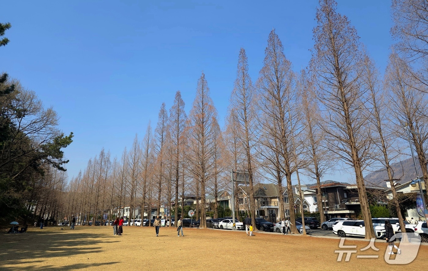 21일 경남 창원시 용호동 가로수길에서 시민들이 포근한 봄 날씨를 즐기며 여유로운 시간을 보내고 있다.2026.3.21 ⓒ 뉴스1 이주현 기자